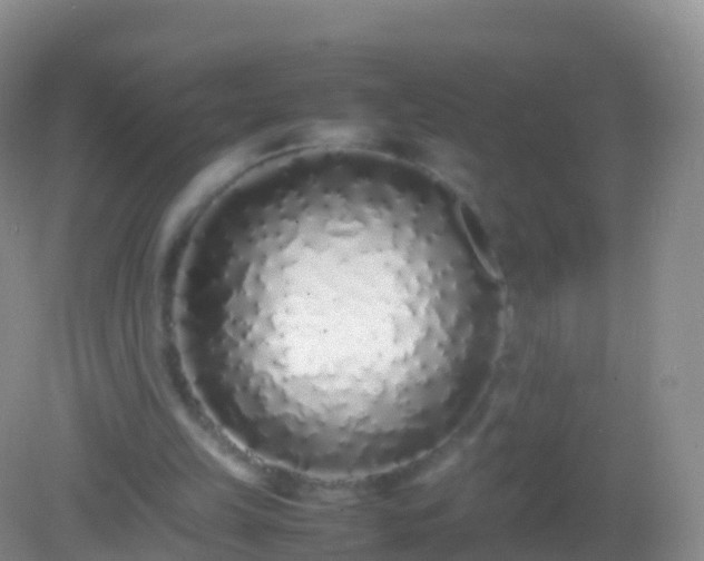 X0000082140149200701262251
