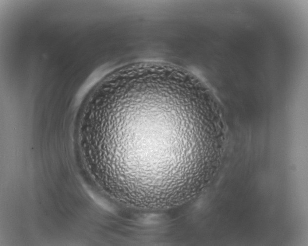 X0000082140151200701262251