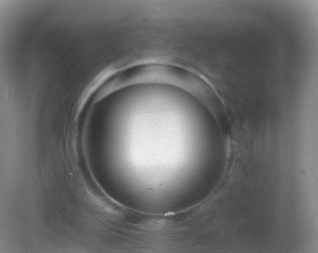 X0000082140152200701262251