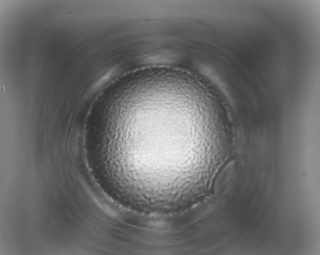 X0000082140153200701262251