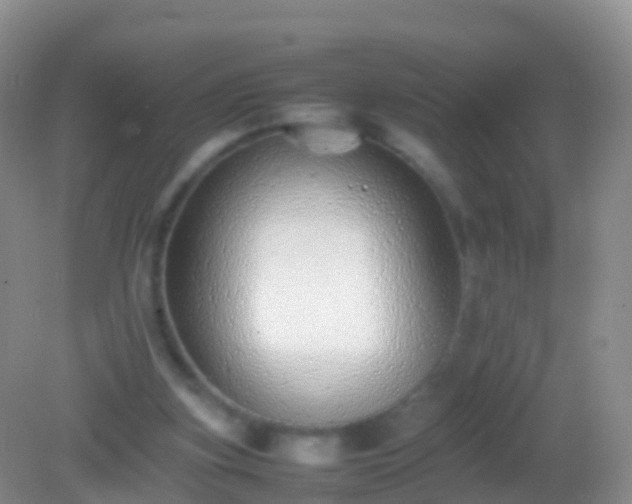 X0000082140155200701262251