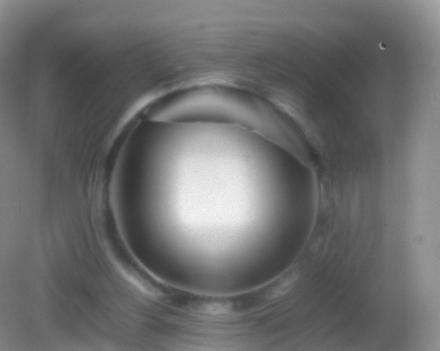 X0000082140156200701262251