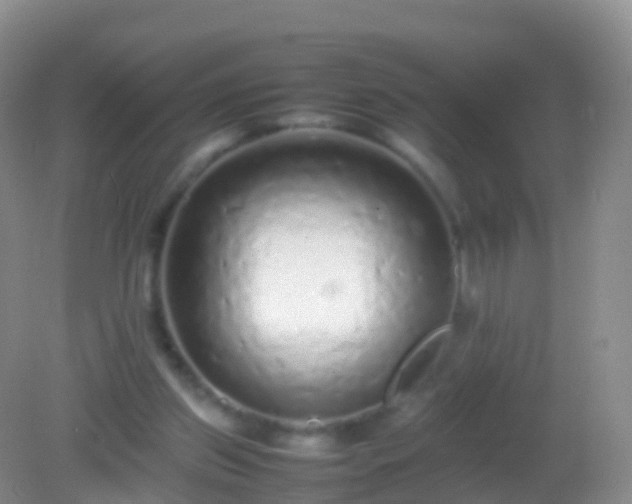 X0000082140157200701262251