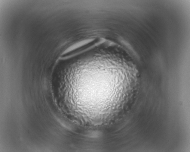 X0000082140161200701262251