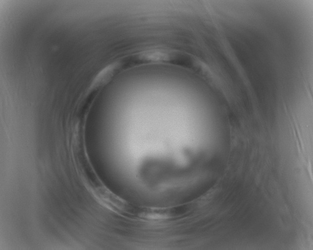 X0000082140163200701262252