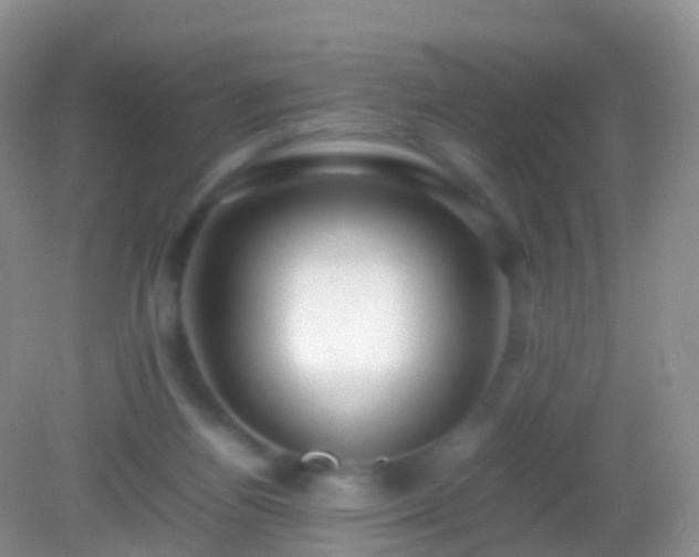 X0000082140164200701262252