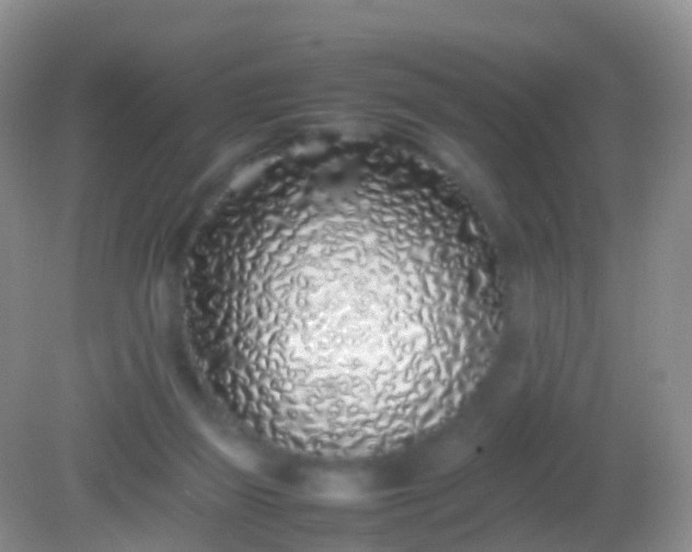 X0000082140165200701262252