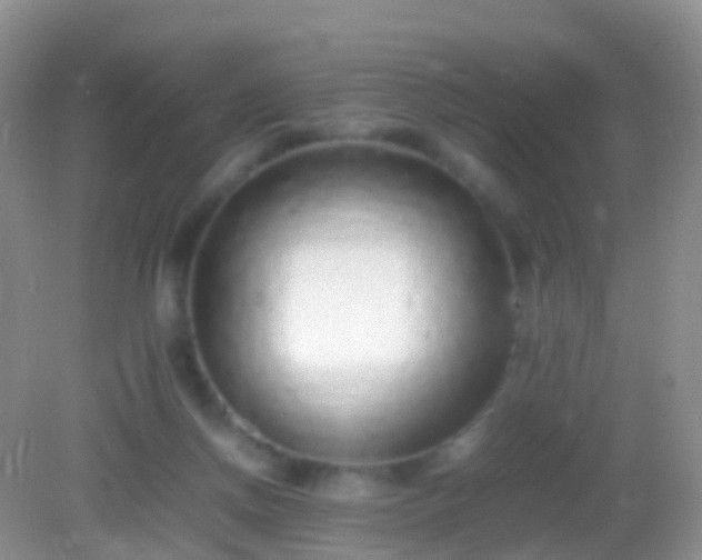 X0000082140166200701262252