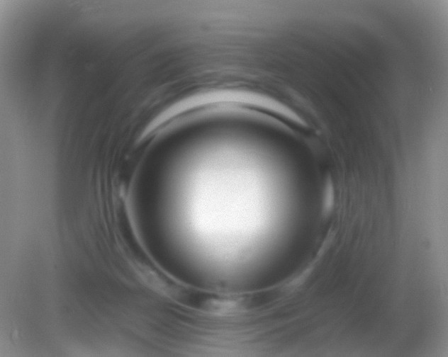 X0000082140170200701262252