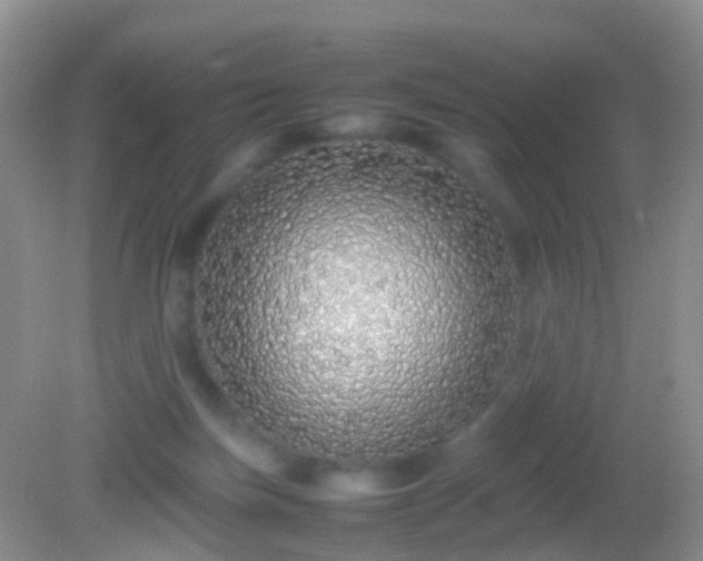X0000082140171200701262252