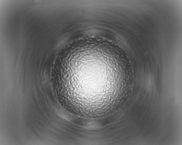 X0000082140173200701262252