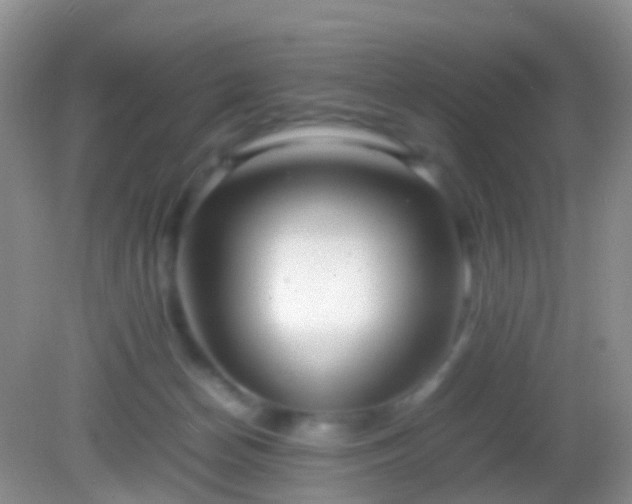 X0000082140174200701262252