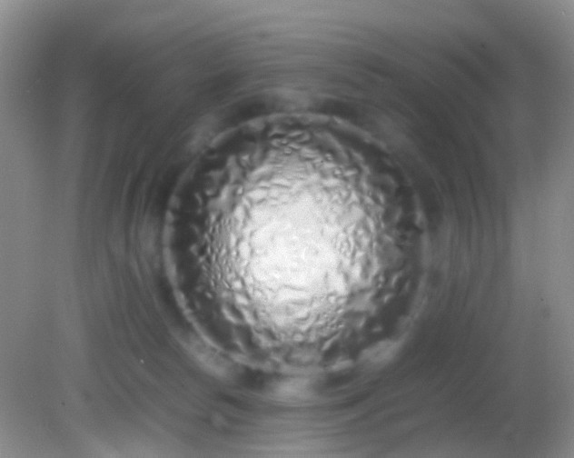X0000082140178200701262252