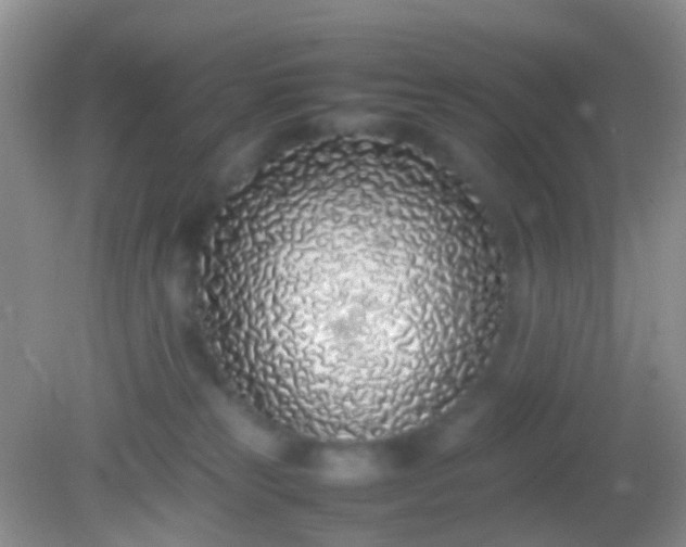 X0000082140181200701262252