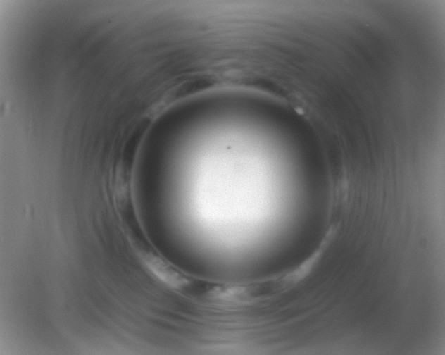 X0000082140186200701262252