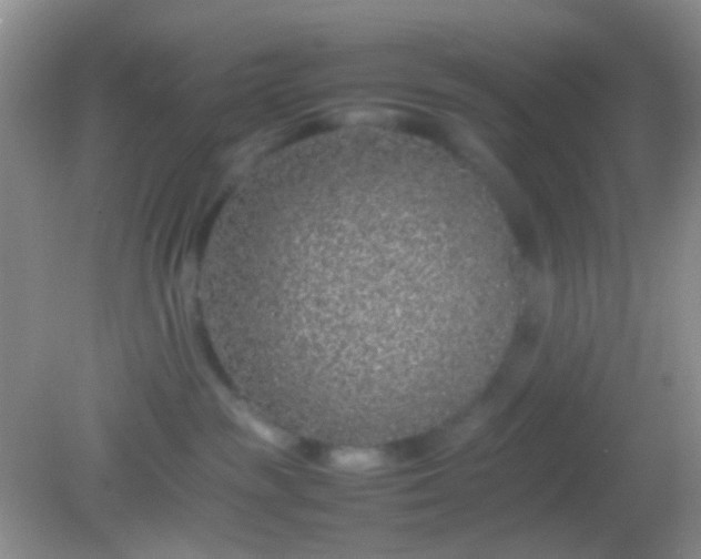 X0000082140189200701262252