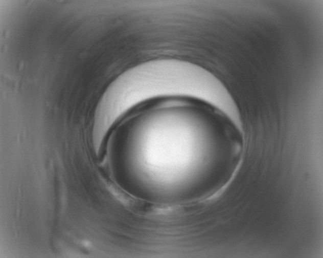 X0000082140190200701262252