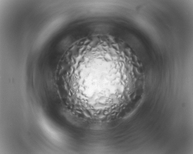 X0000082140191200701262252