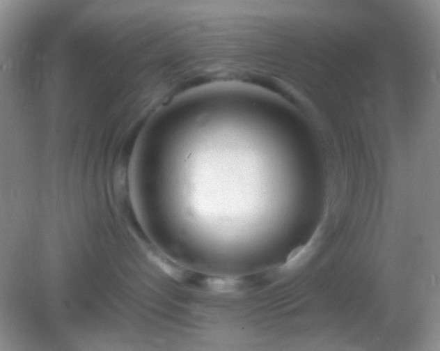 X0000082140192200701262252