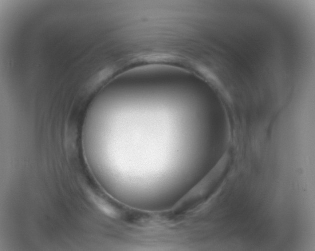 X0000082140201200701262251