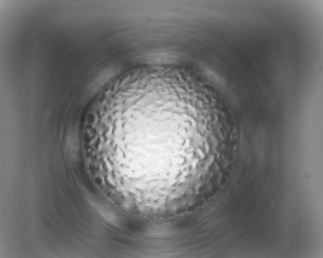 X0000082140202200701262251