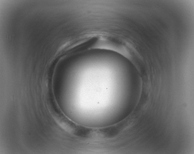 X0000082140207200701262251
