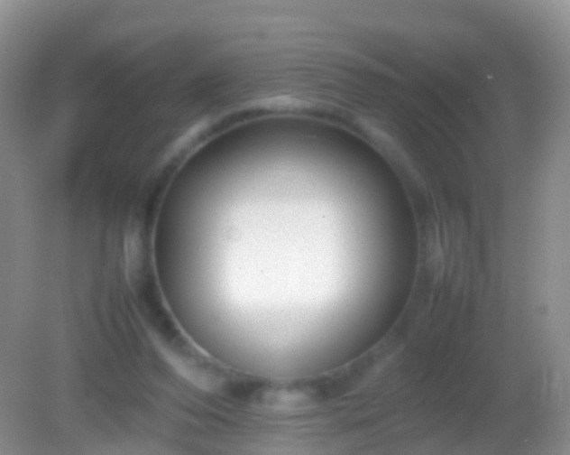 X0000082140208200701262251