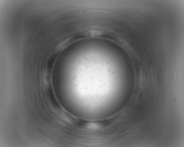X0000082140218200701262251