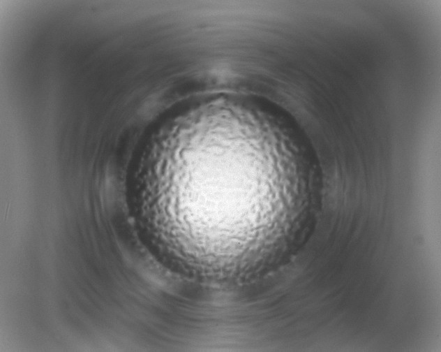 X0000082140222200701262251