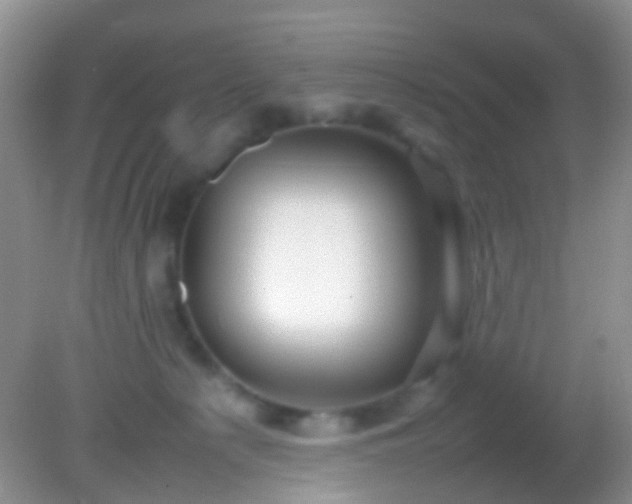 X0000082140225200701262251
