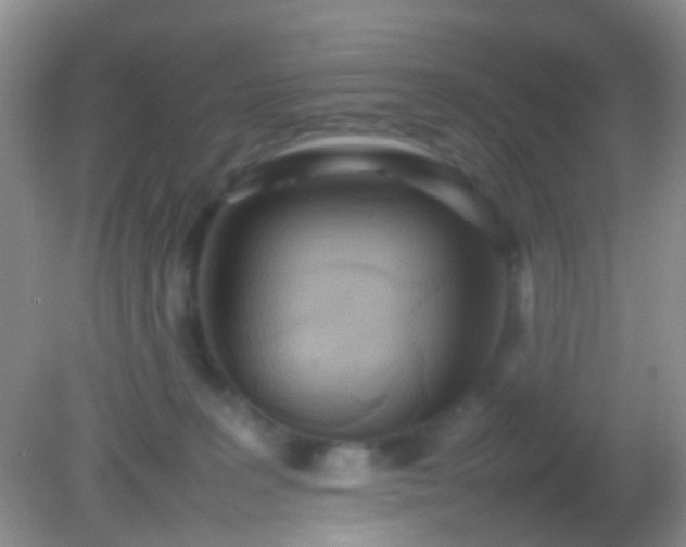 X0000082140227200701262251