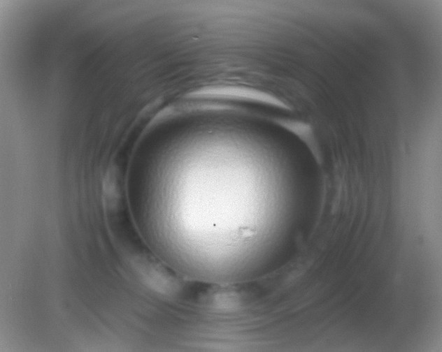 X0000082140228200701262251