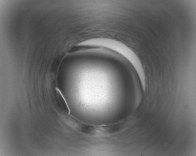 X0000082140229200701262251