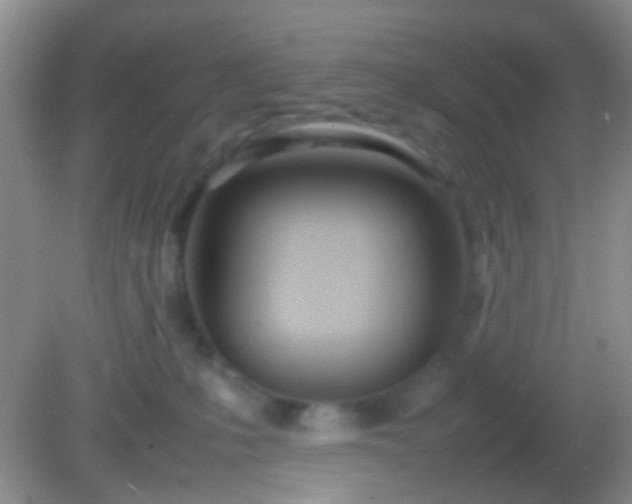 X0000082140231200701262251