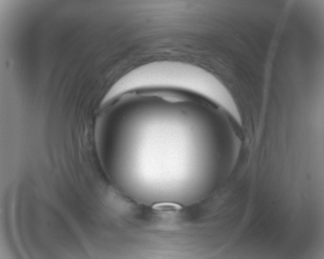 X0000082140233200701262251