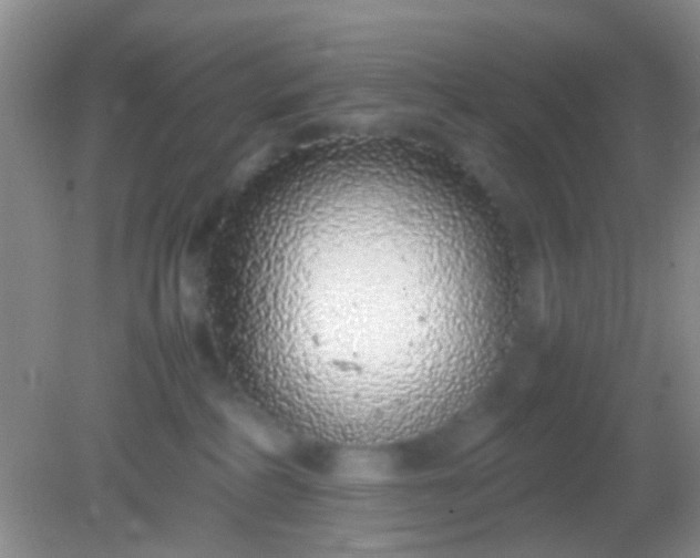 X0000082140234200701262251