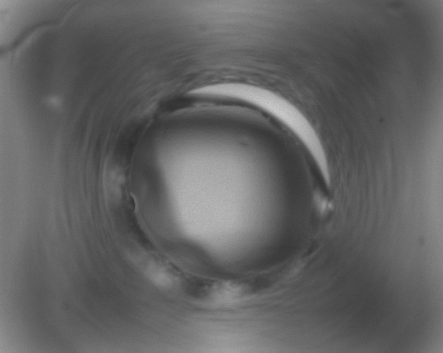 X0000082140235200701262251