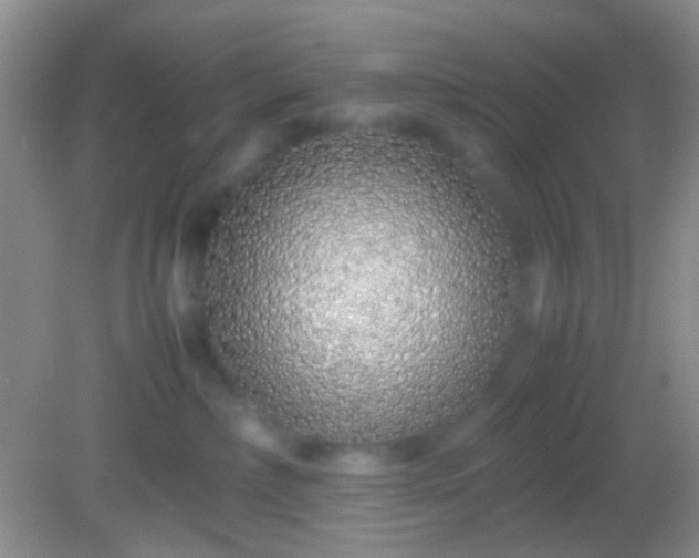 X0000082140236200701262250