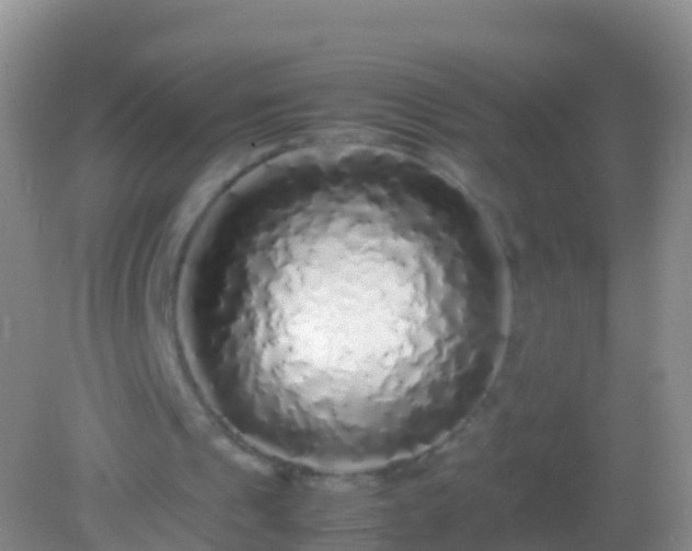 X0000082140241200701262250