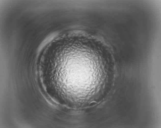 X0000082140245200701262250