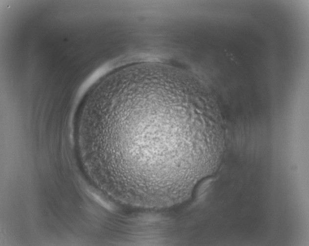 X0000082140246200701262250