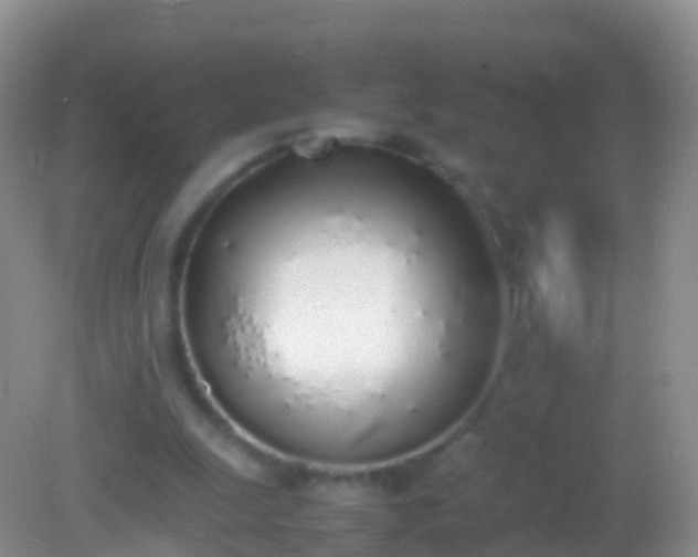 X0000082140247200701262250