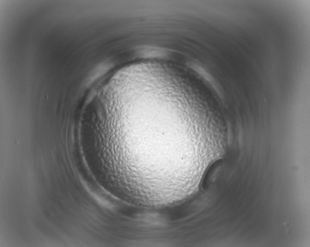 X0000082140253200701262250