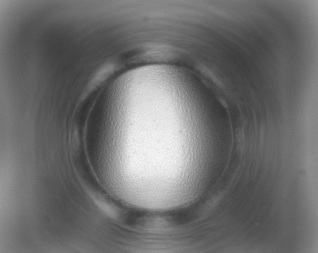X0000082140254200701262250