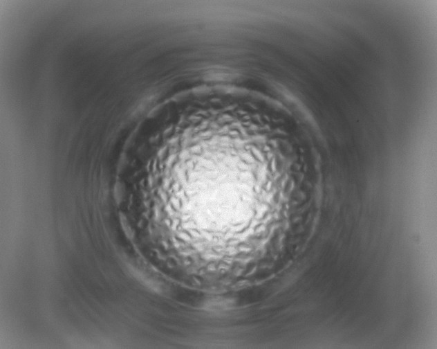 X0000082140257200701262250