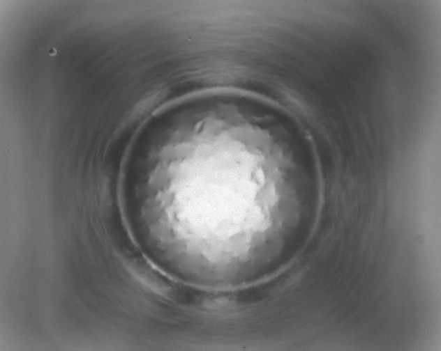 X0000082140258200701262250