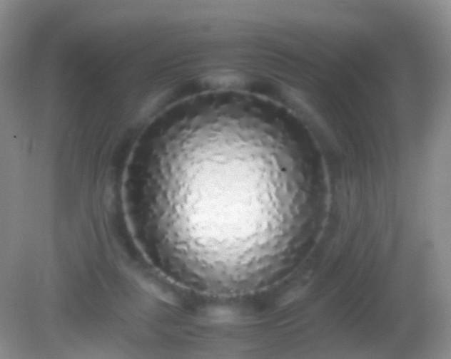 X0000082140259200701262250