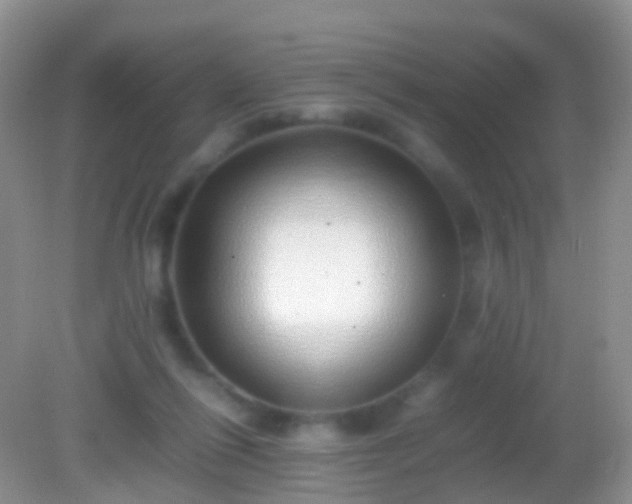 X0000082140262200701262250