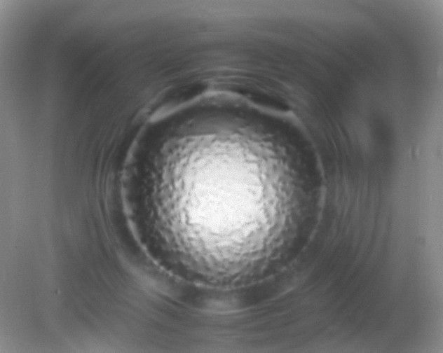 X0000082140263200701262250