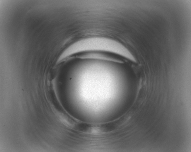 X0000082140264200701262250